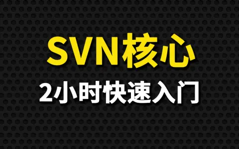 SVN教程(2小时玩转版本控制工具svn)